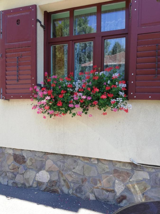 Alloggio in famiglia Roza Braşov