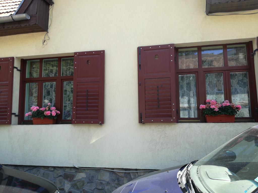 Roza Gazde/Camere de închiriat *