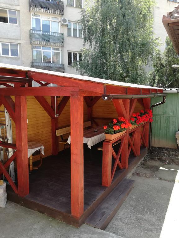 Roza Gazde/Camere de închiriat *